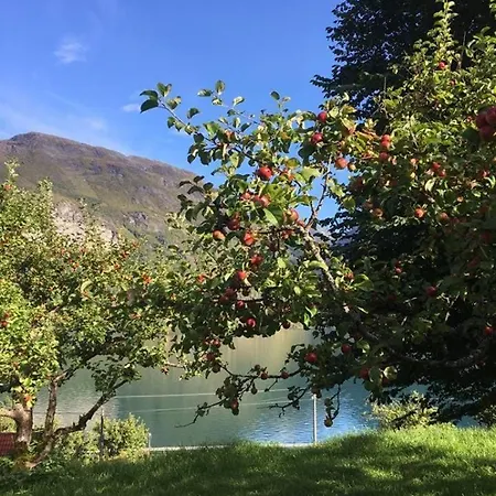 House In Oppstryn * Stryn